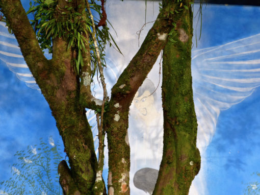 Costarica 2013