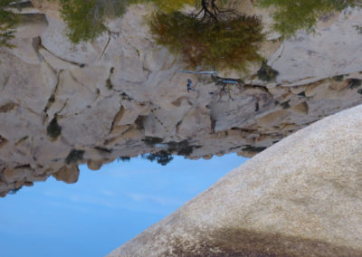 Joshua Tree National Park USA 2017