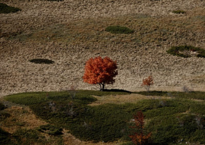 Abruzzo, ITALY 2020